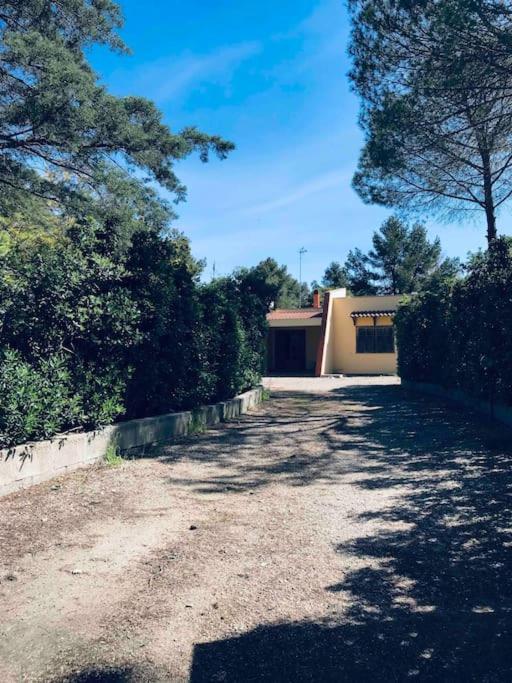 Villa Martina-Casa In Campagna Per Famiglie Galatina Exteriör bild
